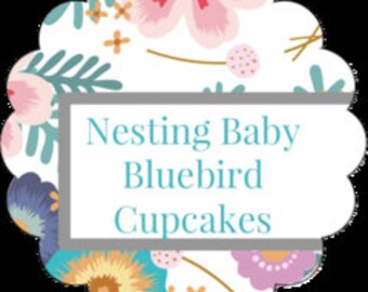 Nesting Baby Bluebird Cupcakes With Chocolate Buttercream and Golden Toasted Shredded Coconut In Quart and Pint Mason Jars