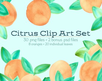 Summer Citrus Orange Clementine Watercolor Blog Design Resource PNG PSD, Instant Download