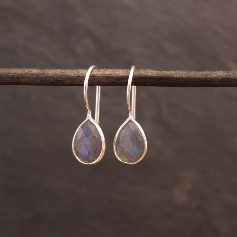 Silver Drop Earrings for Women