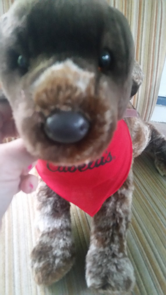 Douglas Dog German Short Haired Pointer Hunting Dog Etsy