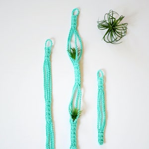 May include: Three macrame plant hangers in a light turquoise color, each with a small air plant in the center of the hanger. The hangers are hanging from a white wall.