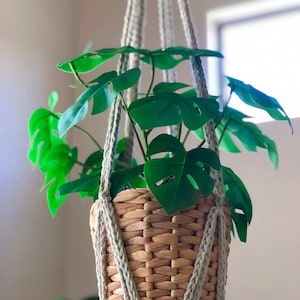 May include: A green plant with large leaves hangs in a woven macrame plant hanger. The plant is in a brown wicker basket.