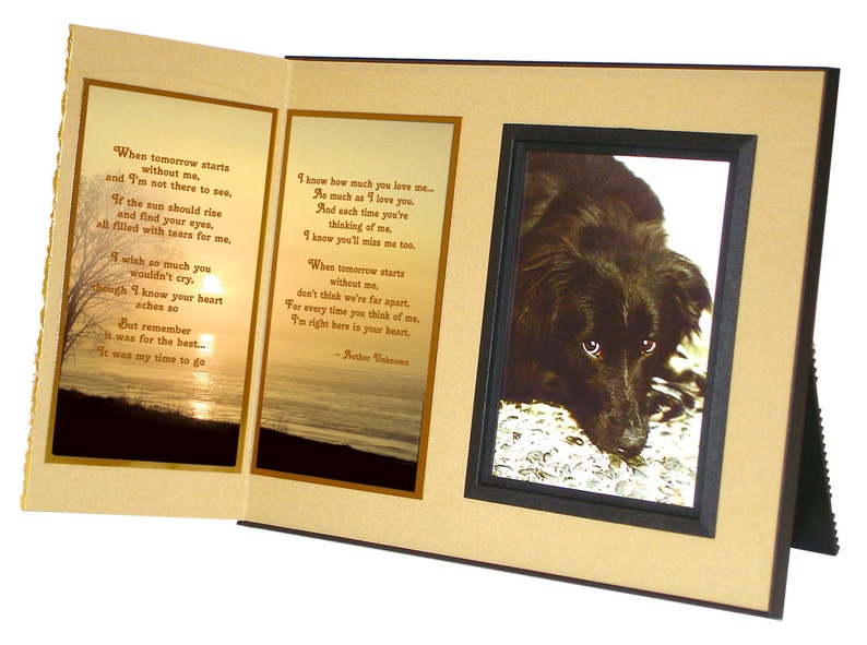 Pet Sympathy Gift When Tomorrow Starts Without Me Etsy