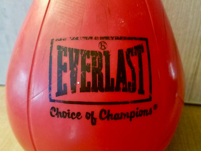 Everlast Leather Speed Boxing Bag Literacy Basics