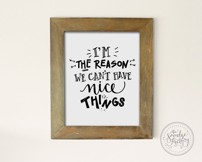 May include: A framed print with a white background and black text that reads "I'm the reason we can't have nice things".