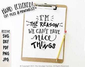 Toddler SVG Cut File, I'm The Reason We Can't Have Nice Things (Digital Download)