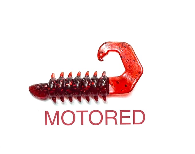 2" scorpion slayer ( SALTWATER series) grub 10pc per pack (CUSTOM bait)