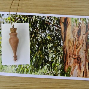 Peut inclure: Un pendentif en bois avec un bouchon en liège suspendu à une ficelle brune devant une photographie d'un tronc d'arbre avec des feuilles vertes.