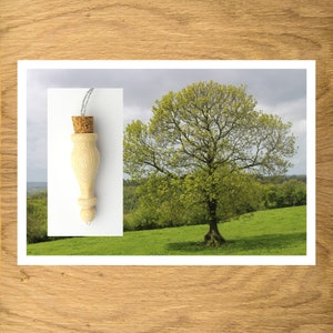 Aromatherapie-Halskette aus Eschenholz, Halskette mit ätherischen Ölen, Parfümhalter-Anhänger, Diffusor-Halskette
