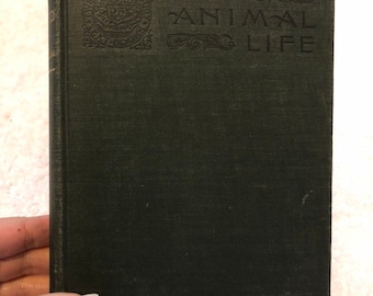 Animal Life A First Book of Zoology