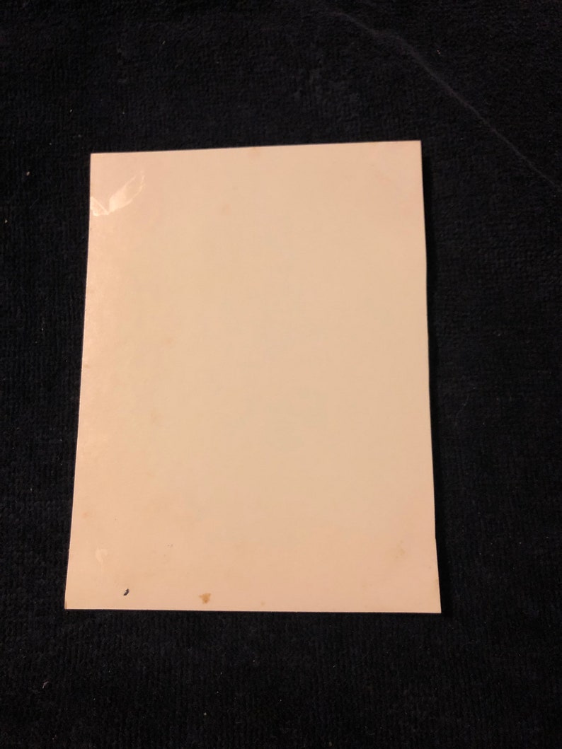 Vintage Dog Ephemera