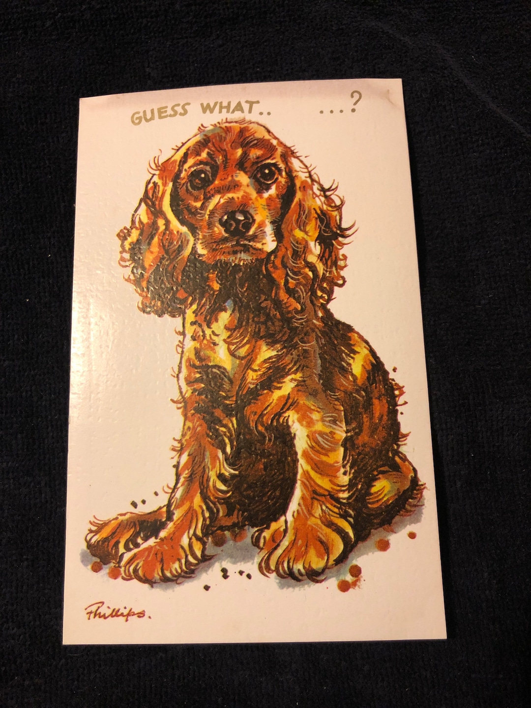 Vintage Dog Birthday Card Etsy