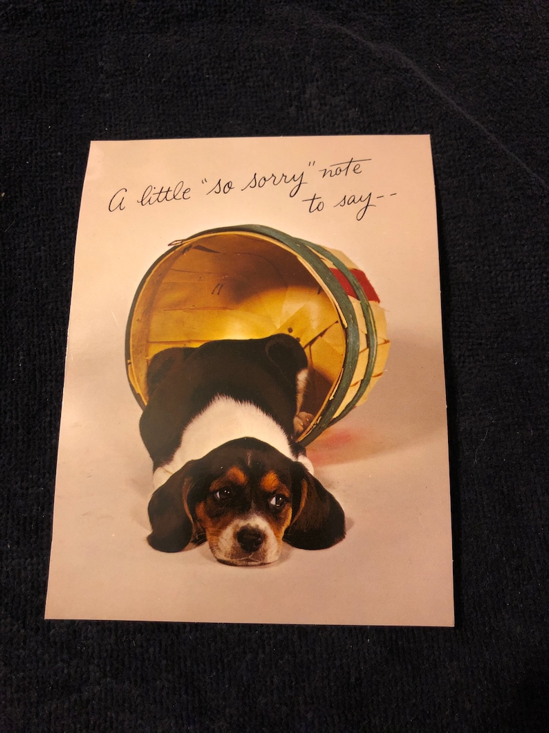Vintage Dog Ephemera