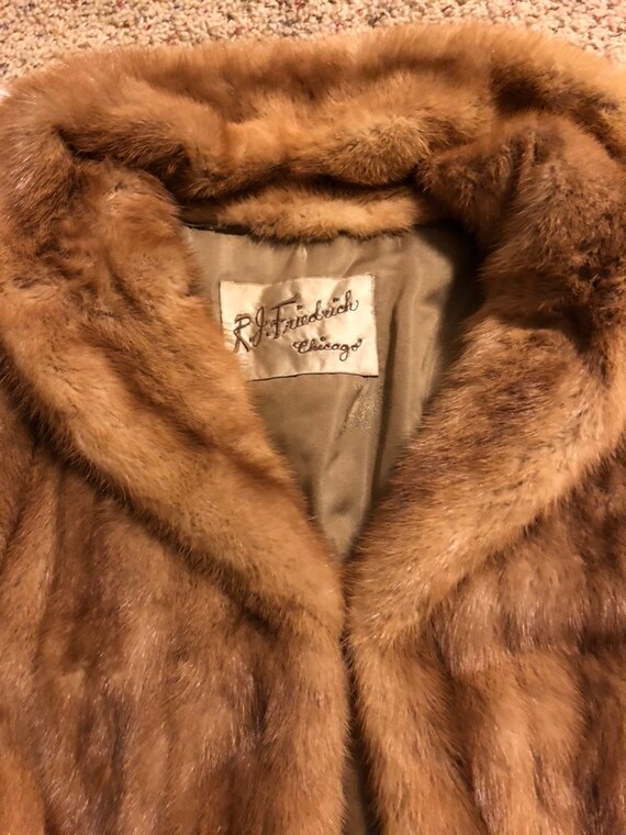 Vintage Fur Capelet - image 5