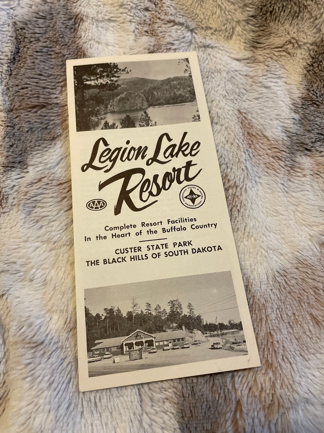Legion Lake Resort Brochure - Etsy