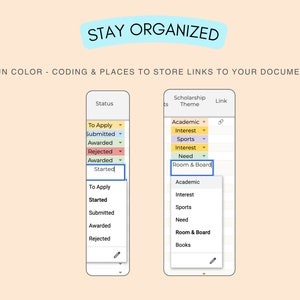 Puede incluir: Interfaz digital con el texto "STAY ORGANIZED" y la palabra "DETAILS" en la parte superior. La interfaz muestra opciones de estado, tema de becas y enlaces, con selecciones codificadas por colores y men&uacute;s desplegables.