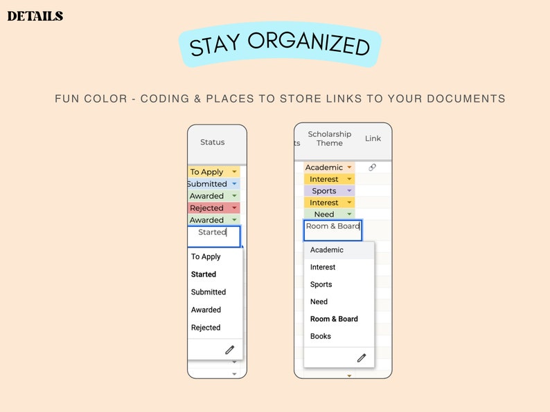 Puede incluir: Interfaz digital con el texto "STAY ORGANIZED" y la palabra "DETAILS" en la parte superior. La interfaz muestra opciones de estado, tema de becas y enlaces, con selecciones codificadas por colores y men&uacute;s desplegables.