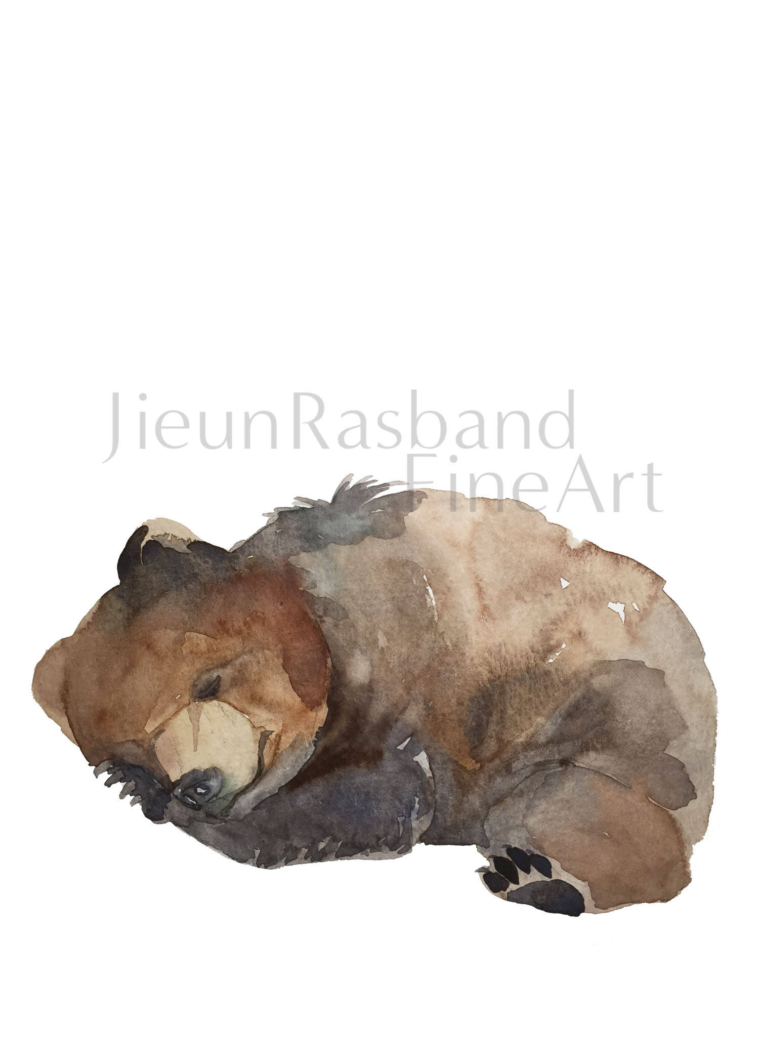 sleeping bear -11"x14" instant print