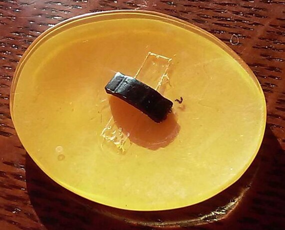 Fabulous hand painted shell/Mother of pearl and r… - image 5