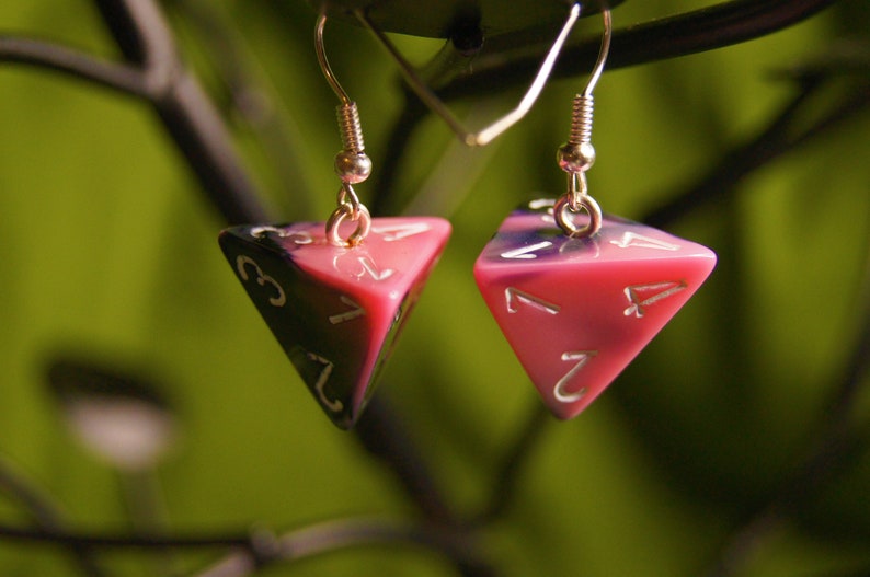 D4 Earrings image 1