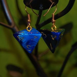 D4 Earrings