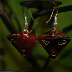 D4 Earrings