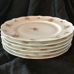 Antique Limoges &quot;Charles Ahrenfeldt&quot; Hand Painted Floral Porcelain Plates (Set of Six) - Made in France - 1894 to 1930