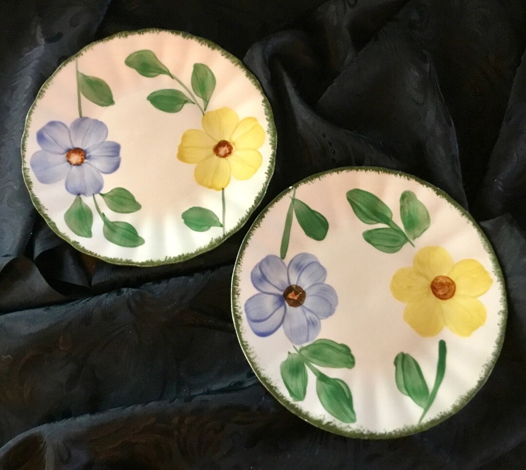 Blue Ridge Patterns Vintage