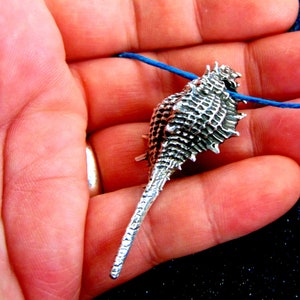 Seashell Necklace, Seashell Jewelry, Shell Necklace, Beach Necklace Women