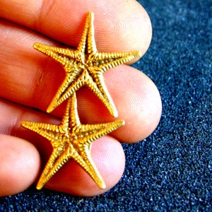 May include: Two gold-colored starfish ornaments. The starfish are stacked on top of each other.