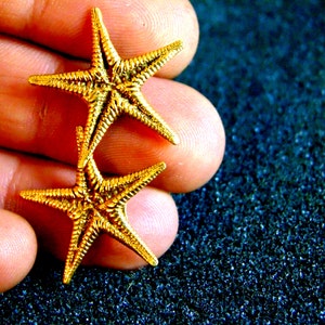 May include: Two gold-colored starfish charms, one on top of the other, with a textured surface. The charms are held in a hand.