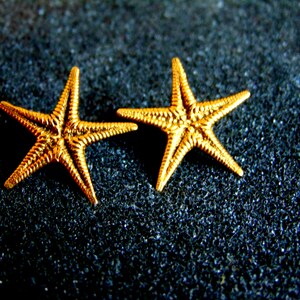 May include: Two gold-colored starfish earrings on a dark gray background.