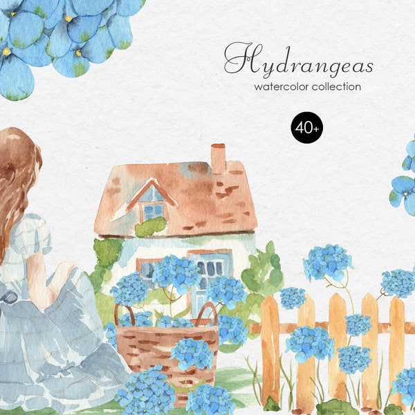 Clipart hortensia aquarelle - fleurs bleues jardin verdure fille campagne Png mariage bouquets de botanique