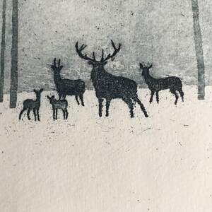 Deer in Winter image 3