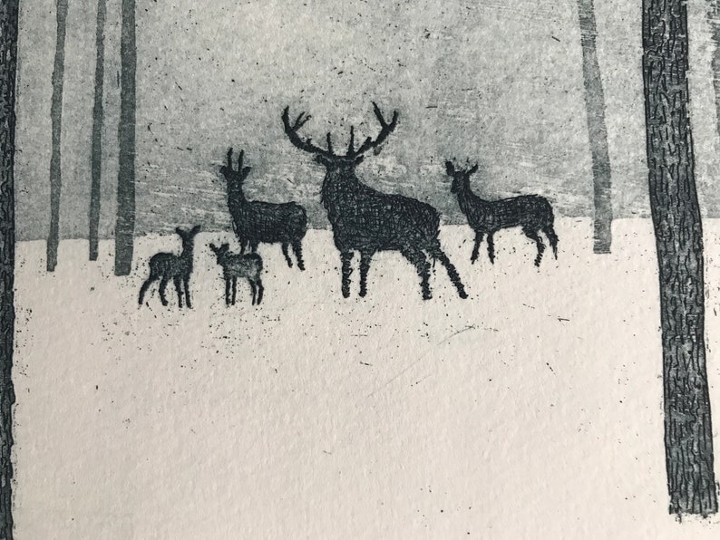 Deer in Winter image 3