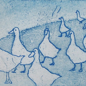 Geese image 1