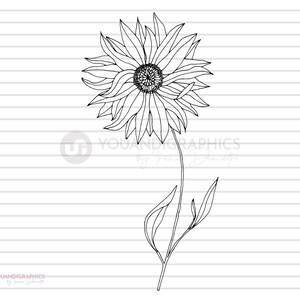 Tournesol SVG Illustration Clipart, Fleur dessinée à la main Clipart, Lineart Dessin svg, eps, jpg, fichiers png