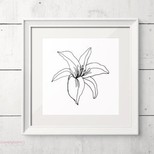 Lily Flower SVG Illustration, Hand Drawn Flowers Clipart, Lineart ...