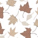 Fall Leaves Printables and Autumn Backgrounds. A Set of 10 High ...