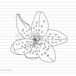 Orchid Flower SVG Illustration Clipart, Fleurs dessinées à la main Individuel, Lineart Drawing svg, eps, jpg, fichiers png