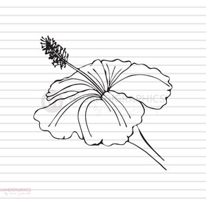 Hibiscus Flower SVG Illustration Clipart, Fleurs dessinées à la main Clipart, Lineart Drawing svg, eps, jpg, png files