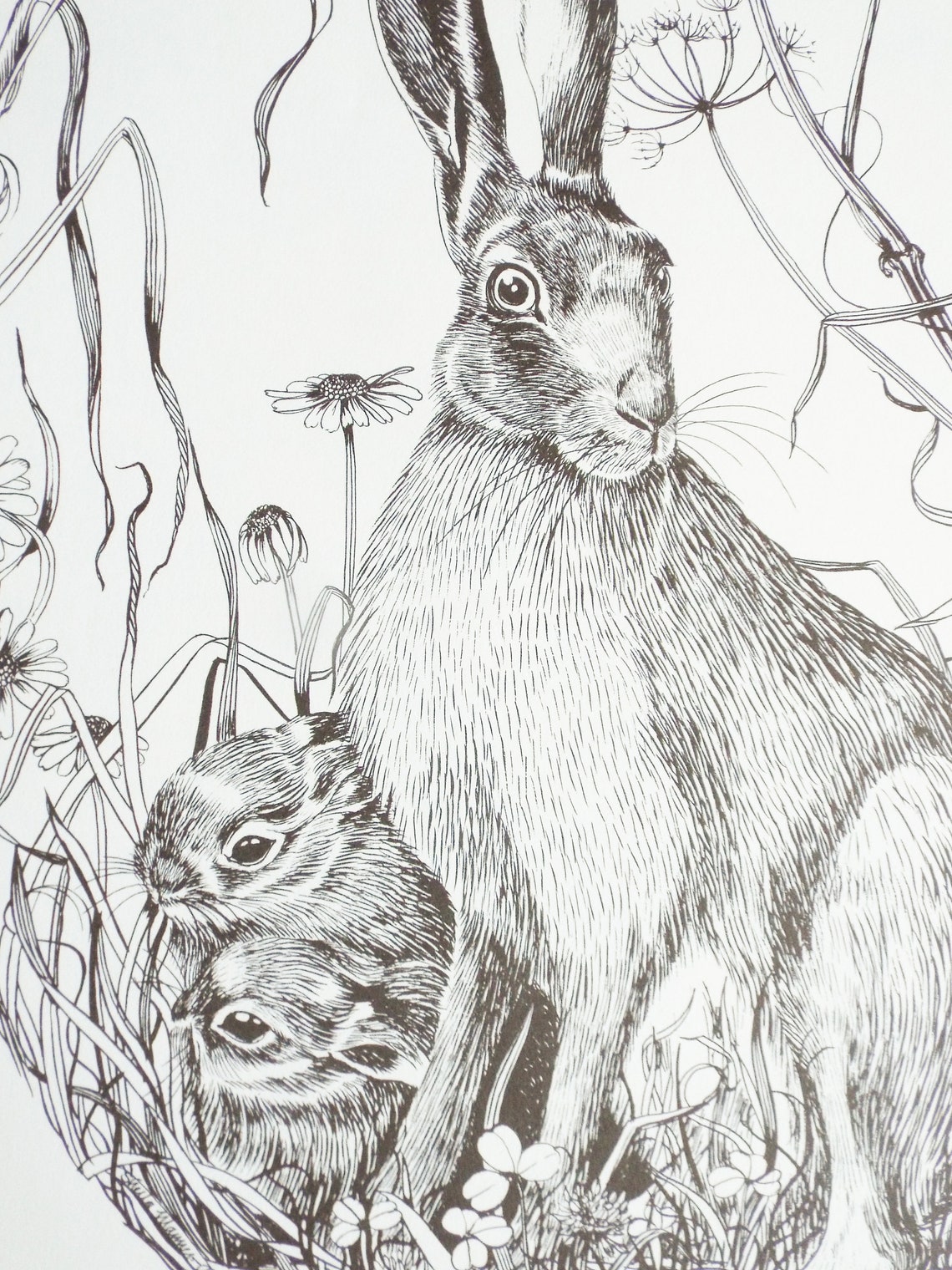 Wildlife Print Black and white wildlife Print Hare Pen and Ink Etsy