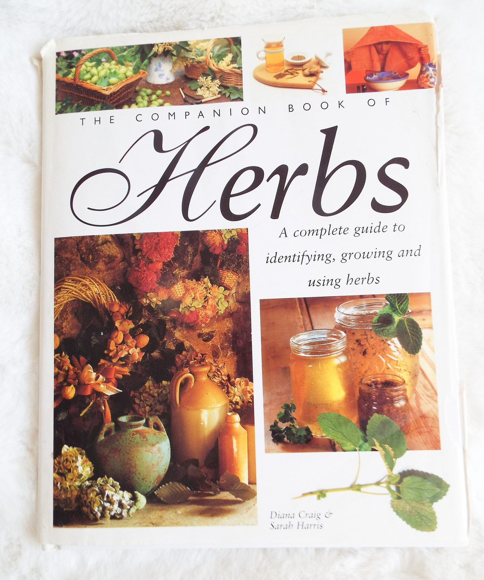 The Companion Book of Herbs Herbal cookery book Herbal health Etsy