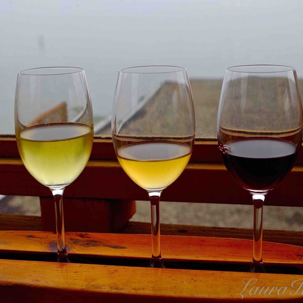 Winery Photography Wine Flight Nautical Kitchen photo Home Decor Wall Art Wine Trio Wine Glass