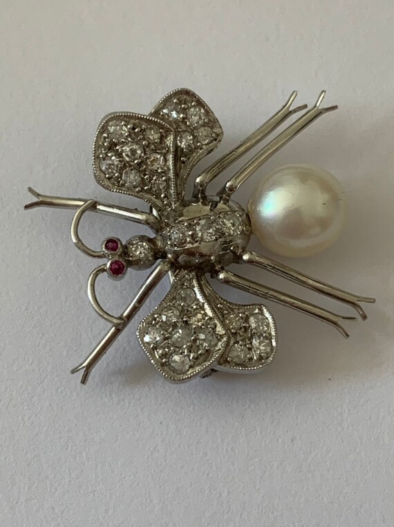 A Platinum Diamond Rubyband Pearl Insect Brooch