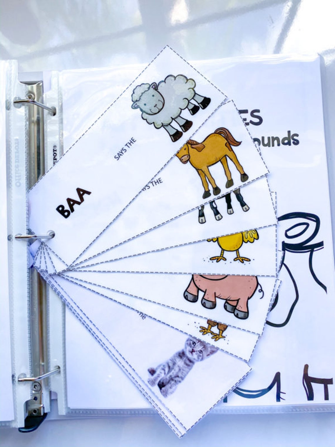 One Year Old Printables Binder Fun Themed Activity Book for Children ...