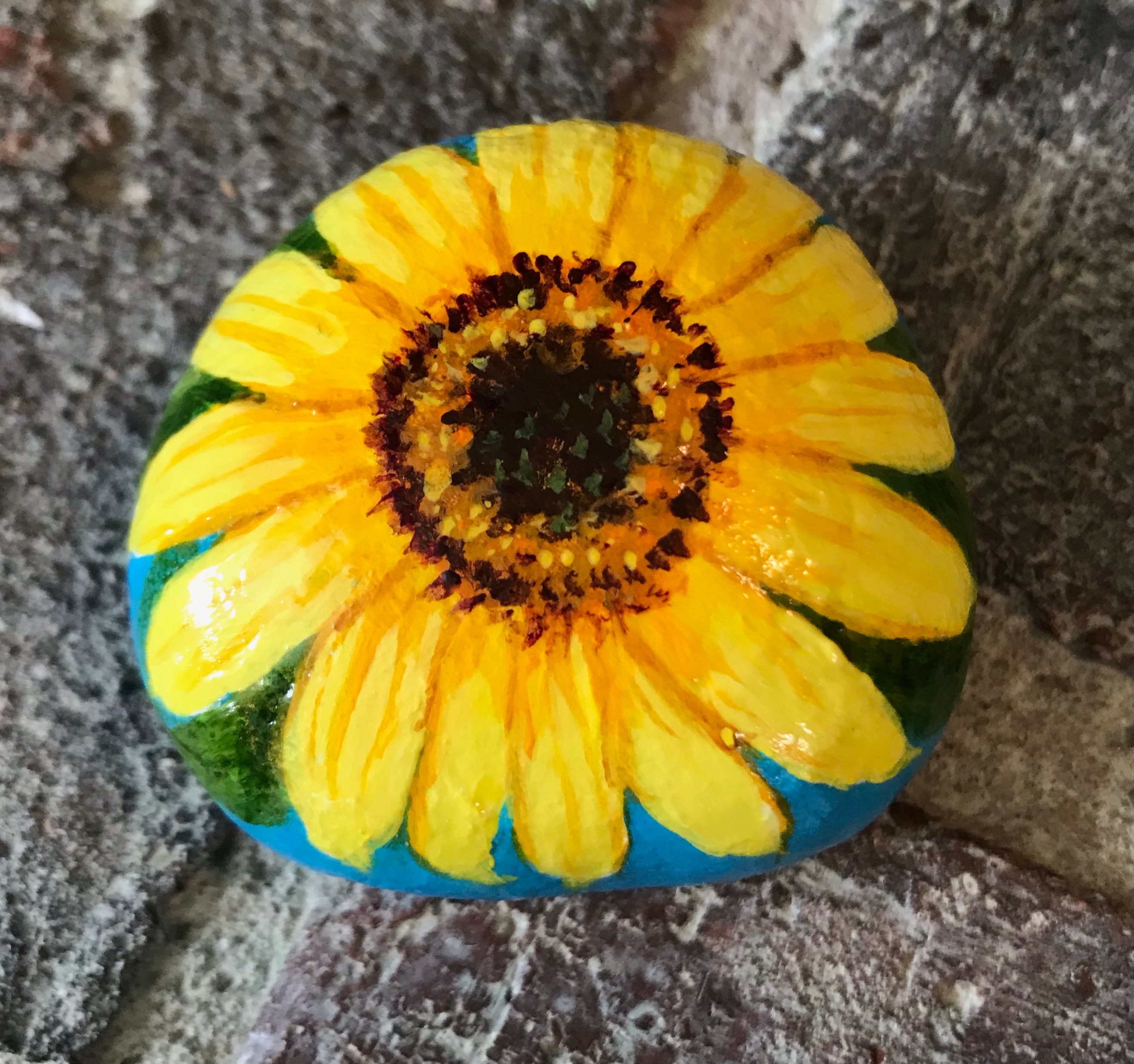 SunFlower Painted Rock Etsy