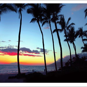 Wailea Beach Sunset Photo Note Card: Maui Palm Trees (5x7)