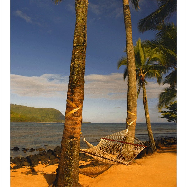 beach card, beach card, color photo note card, blank inside, hammock & palm tree, kauai, hawaii, beach scene, sand and waves, hammock, beach