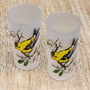 Vintage Hazel Atlas Songbird Frosted Glasses Tumblers - Goldfinch Mid Century Glassware